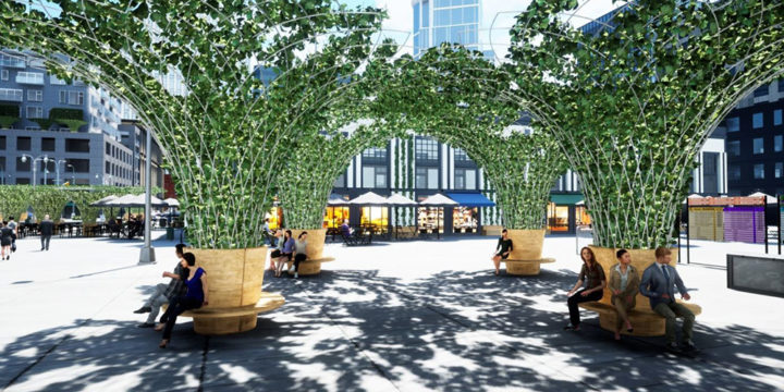 Urban Canopee veut faire grimper la nature dans la ville