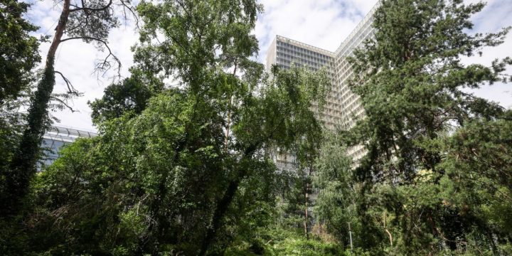 Les forêts urbaines entre défis et controverses