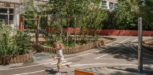 Cour d'école végétalisée et désimperméabilisée, programme oasis Paris