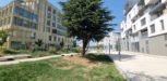 Noue végétalisée en bordure de voirie dans un quartier urbain français