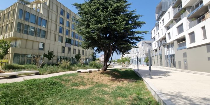 Et si nos villes devenaient des éponges ? La révolution de l’eau s’invite dans les PLU