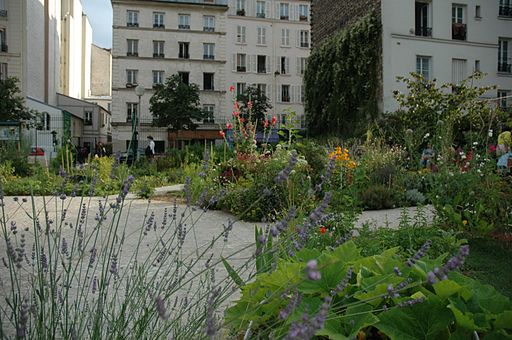Jardin communautaire à Paris