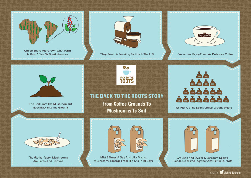 Recyclage du marc de café : 10 utilisations pour la maison !