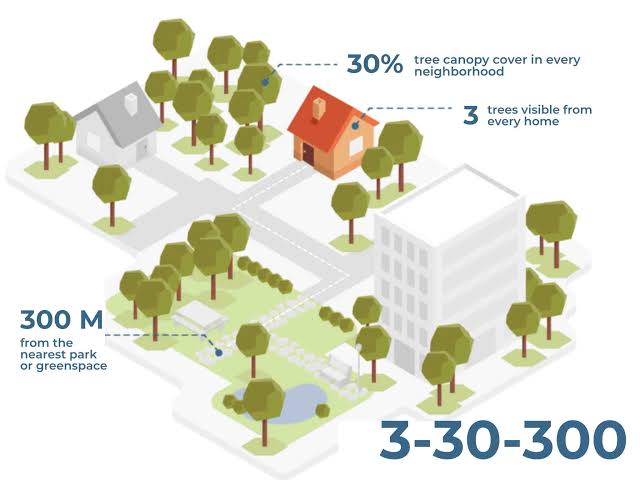 <h2>La règle des 3-30-300 : quand la nature devient un indicateur de qualité urbaine</h2>Le forestier et chercheur néerlandais Cecil Konijnendijk a popularisé la règle des « 3-30-300 ... La règle des 3-30-300 : quand la nature devient un indicateur de qualité urbaine