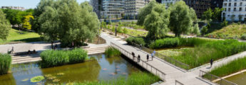 Toiture végétalisée sur immeuble parisien, renaturation urbaine