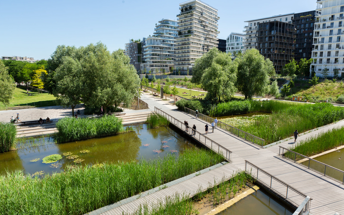 PLU bioclimatiques : comment les grandes villes françaises réécrivent le droit des sols Toiture végétalisée sur immeuble parisien, renaturation urbaine