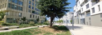 Noue végétalisée en bordure de voirie dans un quartier urbain français